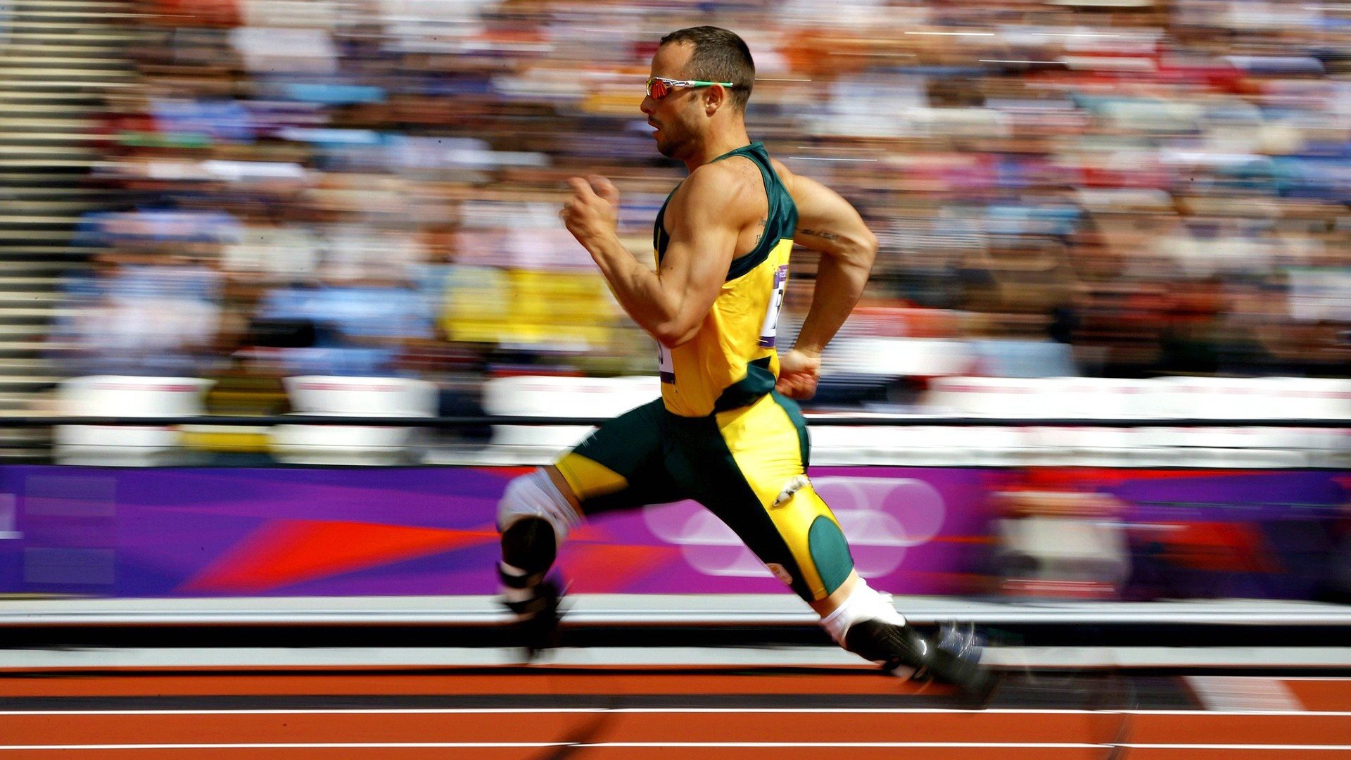 中国体育科研报告公布 支撑备战体系优化，国家体育战略