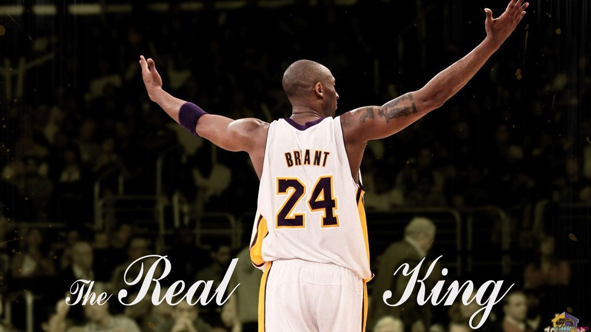 克莱尔·温斯坦赛后自评：拼尽全力 无憾出战，莱斯利·温克尔